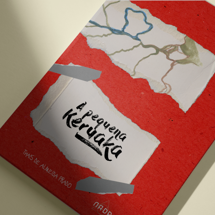 Livro com frete grátis
